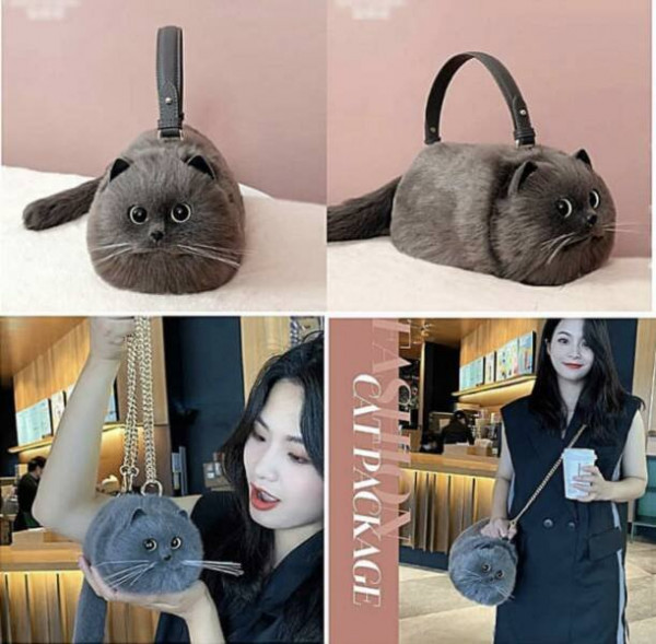 Мем: Дизайнерская сумочка, beauty_foo_ll