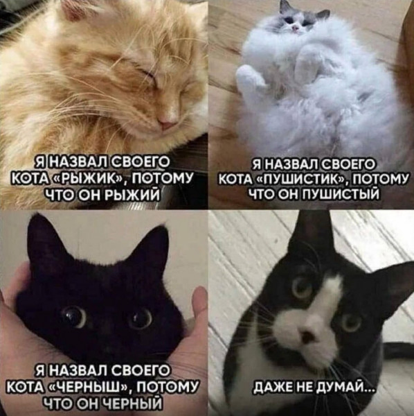 Мем