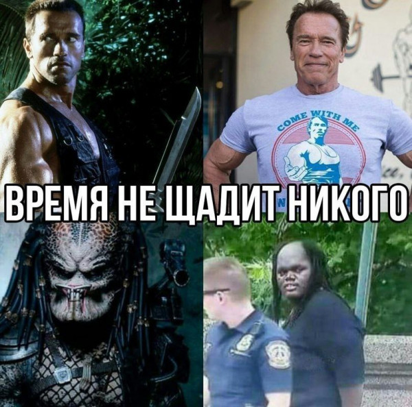 Мем, Максим Камерер