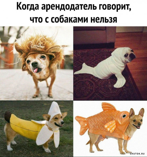 Мем, Джокер