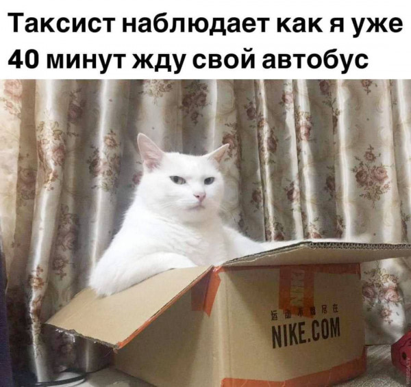 Мем: Я долго тебя буду ждать., henh