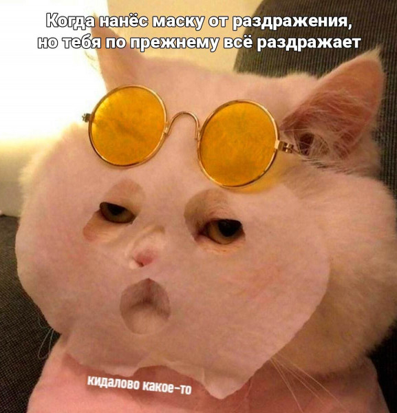 Мем, Микки Маус