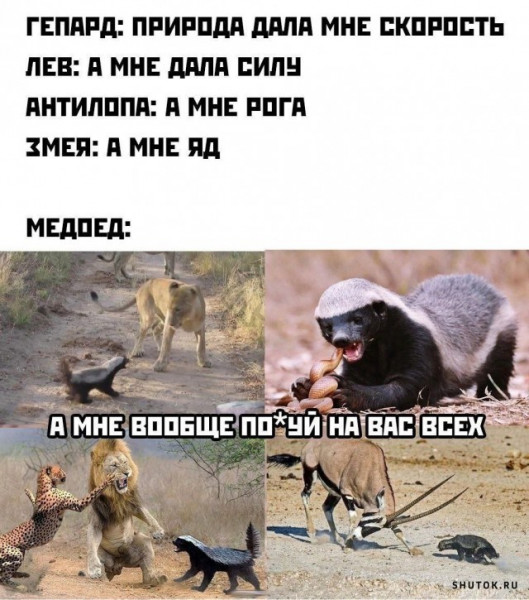 Мем, Джокер