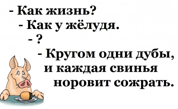 Мем, Александр САН
