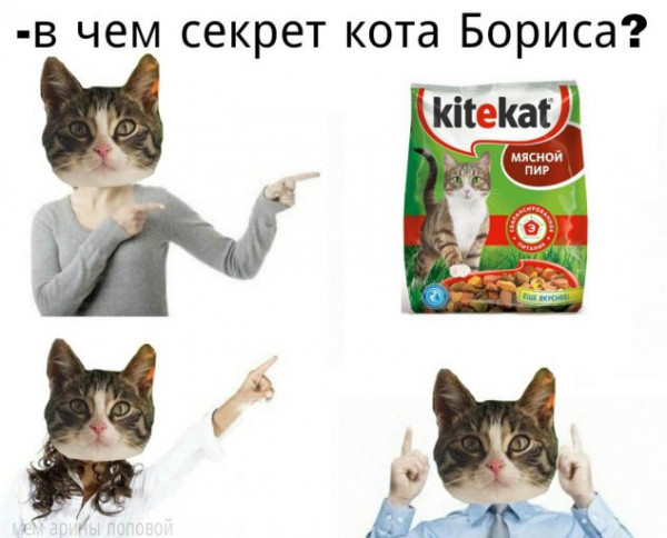 Мем, Микки Маус