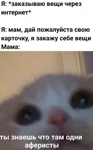 Мем, Микки Маус