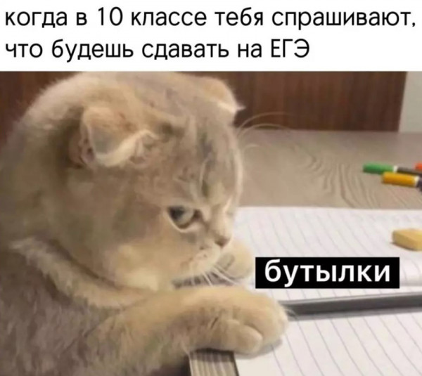 Мем, Микки Маус