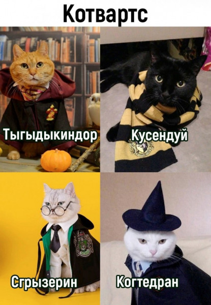 Мем, Микки Маус