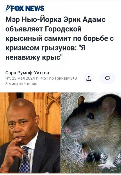 Мем: Ударим саммитом по крысоводству и разгильдяйству!, Максим Камерер