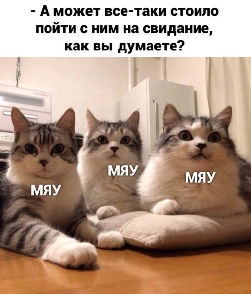 Мем, Микки Маус