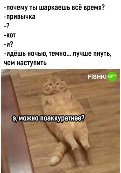 Мем, Микки Маус