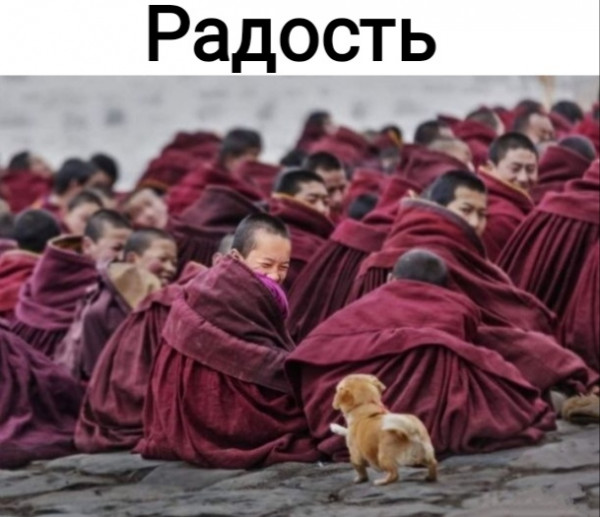 Мем, Рысь