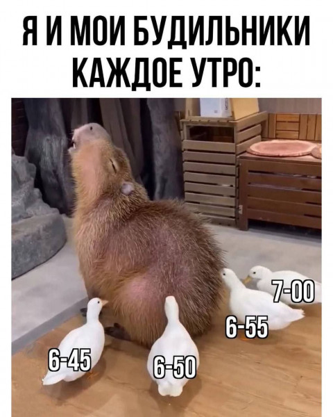 Мем: Да замолчи уже!!!, henh