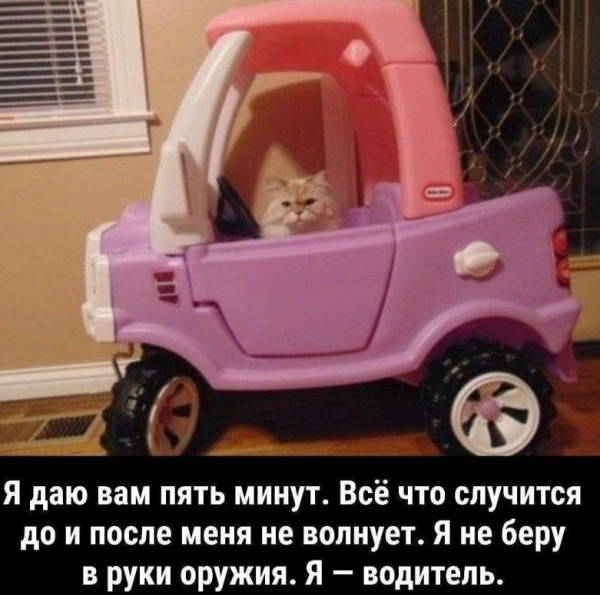 Мем, Микки Маус