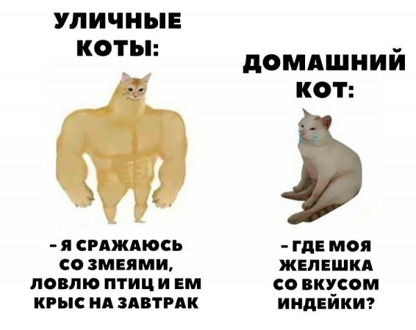 Мем, Микки Маус