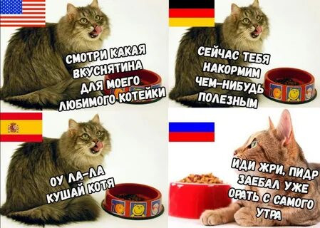 Мем, Микки Маус