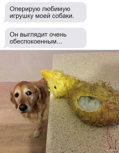 Мем, Джокер