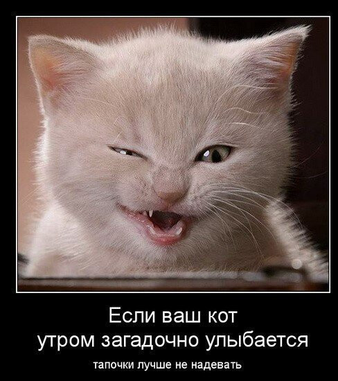 Мем, Микки Маус