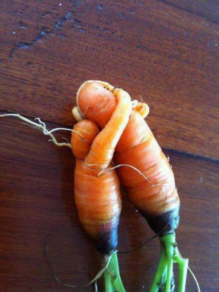 Мем: Любовь-морковь, Леонид Хлыновский