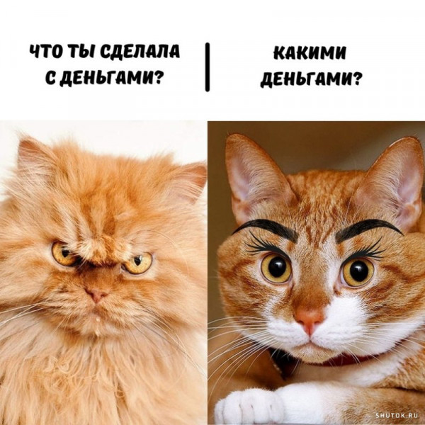 Мем, Джокер