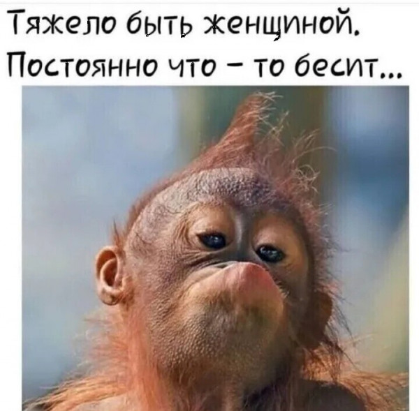 Мем