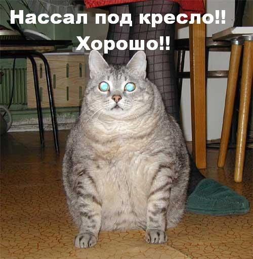 Мем, Микки Маус