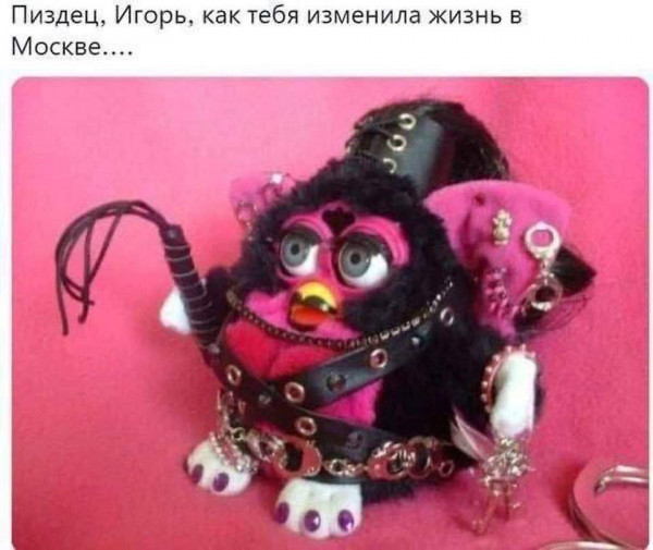 Мем, комент
