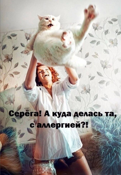 Мем, Hendry