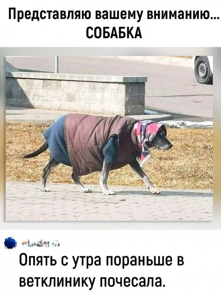 Мем: Представляю вашему вниманию…, henh