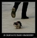 Мем, Микки Маус
