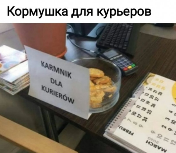Мем, Рысь
