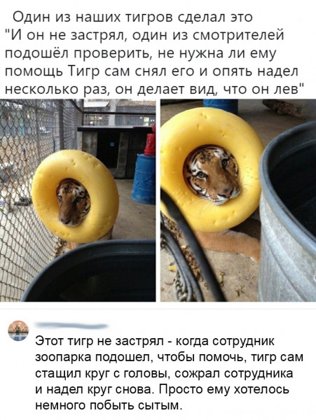 Мем: Такой милый., henh
