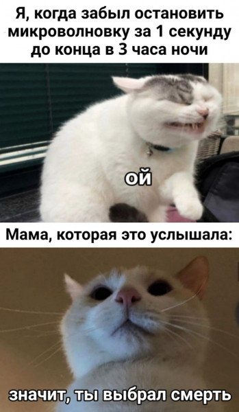 Мем, Микки Маус