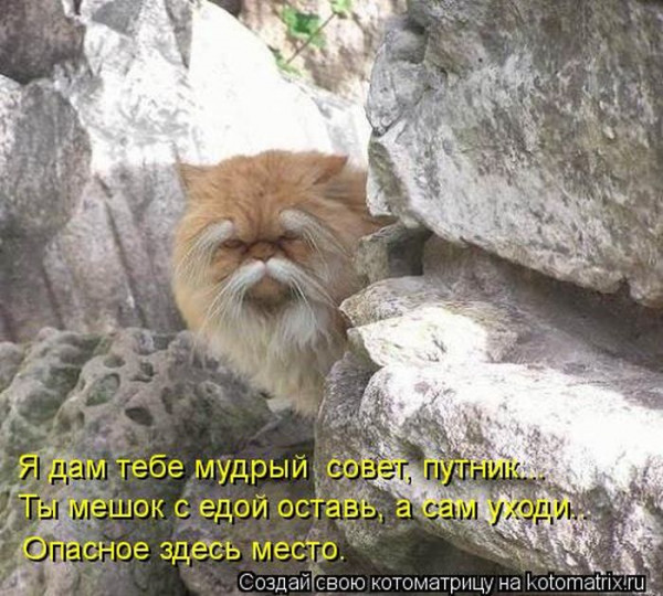 Мем, Микки Маус
