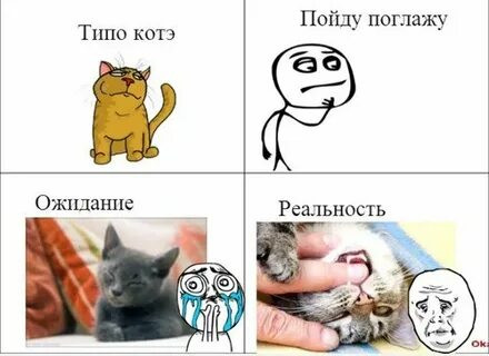 Мем, Микки Маус