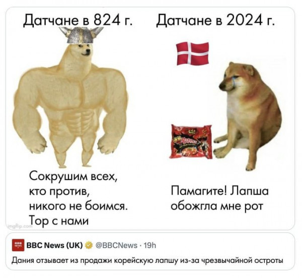 Мем, Максим Камерер