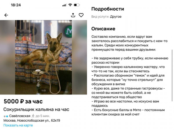 Мем: Авито не перестает удивлять своими объявления., henh
