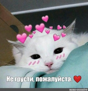 Мем, Микки Маус
