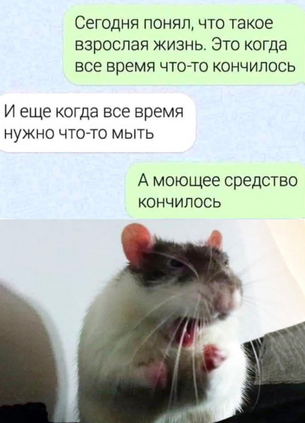 Мем, Hendry