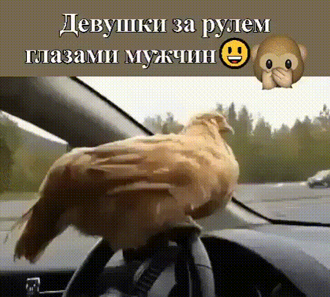 Мем