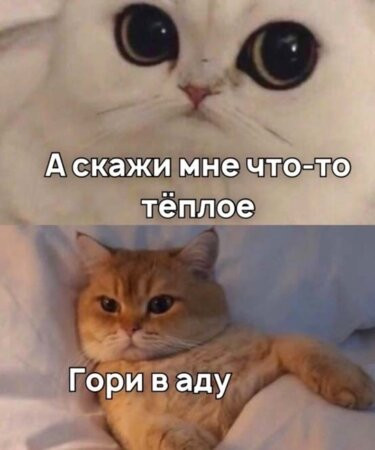 Мем, Микки Маус