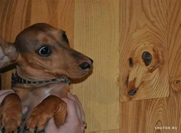 Мем, Джокер