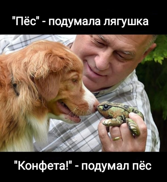 Мем, Рысь
