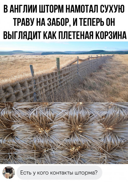 Мем: Вот это я понимаю шторм., henh