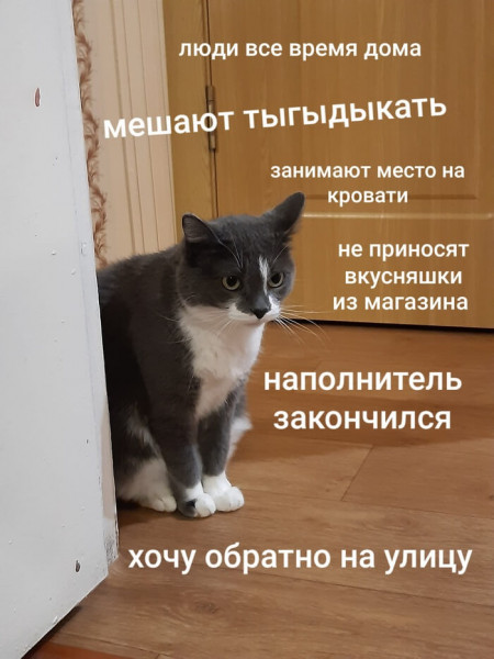 Мем, Микки Маус