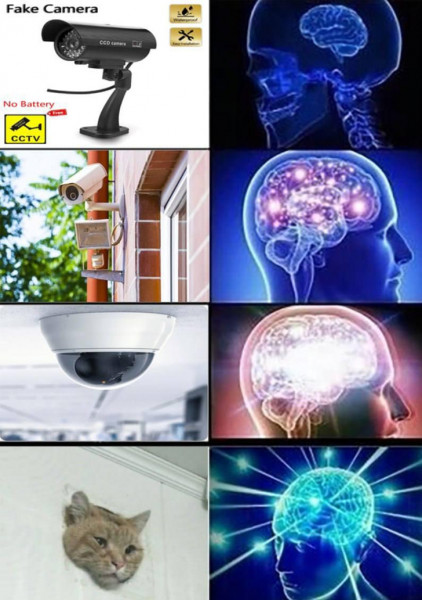 Мем, Микки Маус