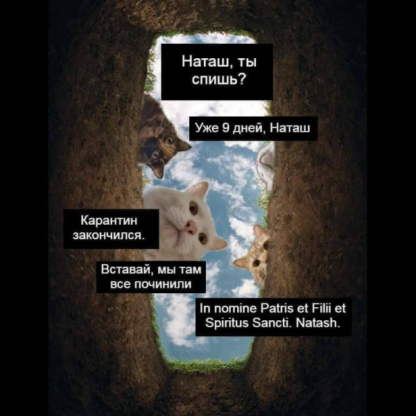 Мем, Микки Маус
