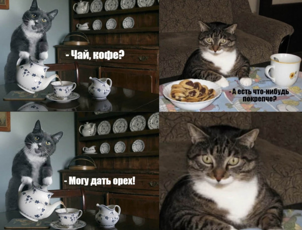 Мем, Микки Маус