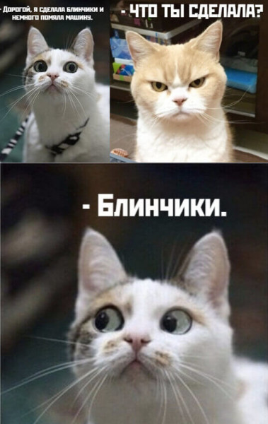 Мем, Микки Маус