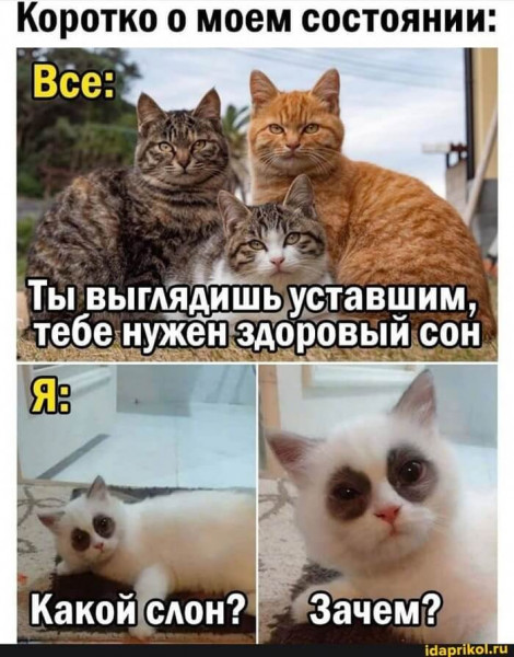 Мем, Микки Маус